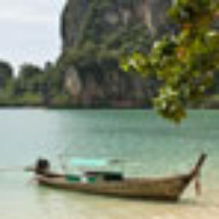 Calthorpe Garden Cafe